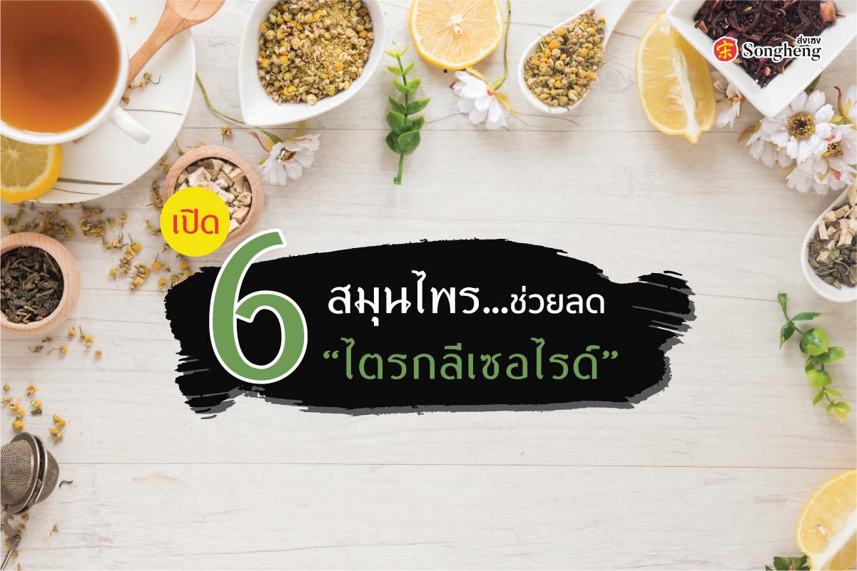 6 สมุนไพร ช่วยลดไตรกลีเซอไรด์
